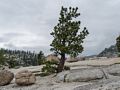 Aug. 4, 2014 - Olmsted Viewpoint, Yosemite National Park, California.