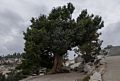 Aug. 4, 2014 - Olmsted Viewpoint, Yosemite National Park, California.