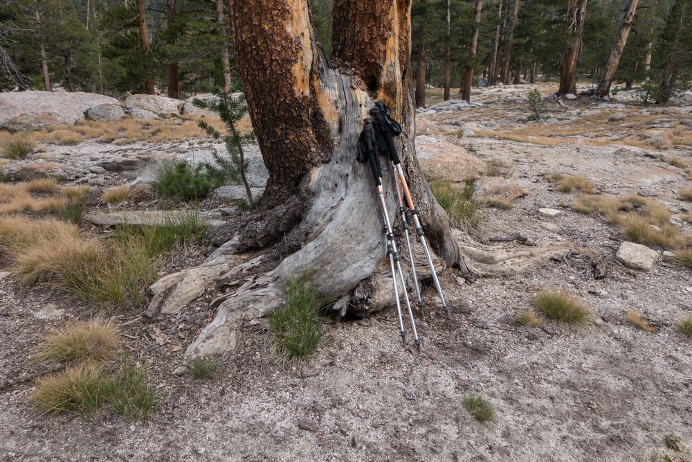 On trail to Tuolumne Pass.<br />We hoped to meet Melody and Sati on this trail but turned around here (at 9340 of elevation').<br />Aug. 5, 2014 - Yosemite National Park, California.