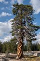 On Pacific Crest Trail near its crossing over Lyell Fork.<br />Aug. 5, 2014 - Yosemite National Park, California.