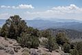 At vista point on White Mountain Road.<br />Aug. 7, 2014 - A few miles south of Schulman Grove, California.