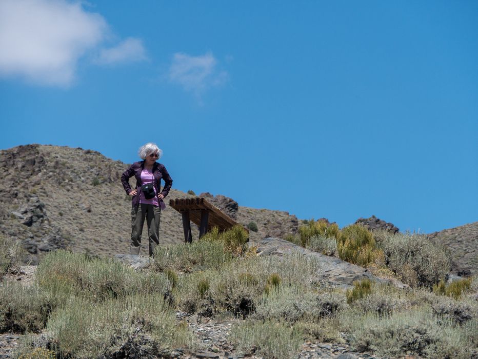 Joyce at vista point on White Mountain Road.<br />Aug. 7, 2014 - A few miles south of Schulman Grove, California.