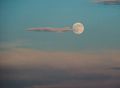 Supermoon over Mono Lake outside Mono Inn Restaurant<br />Aug. 9, 2014 - About 5 miles north of Lee Vining, California.