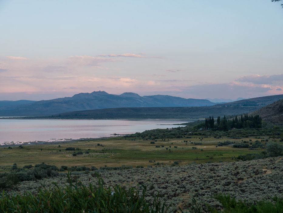 View from outside Mono Inn Restaurant<br />Aug. 9, 2014 - About 5 miles north of Lee Vining, California.