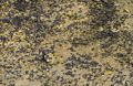 Alkali flies by the thousands (fortunately not interested in humans).<br />Aug. 10, 2014 - Mono Lake Tufa  State Natural Reserve, California.