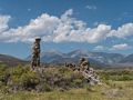 Aug. 10, 2014 - Mono Lake Tufa  State Natural Reserve, California.