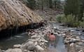 Bathing suits optional.<br />Aug. 11, 2014 - Buckeye Hot Springs, west of Bridgeport, California.