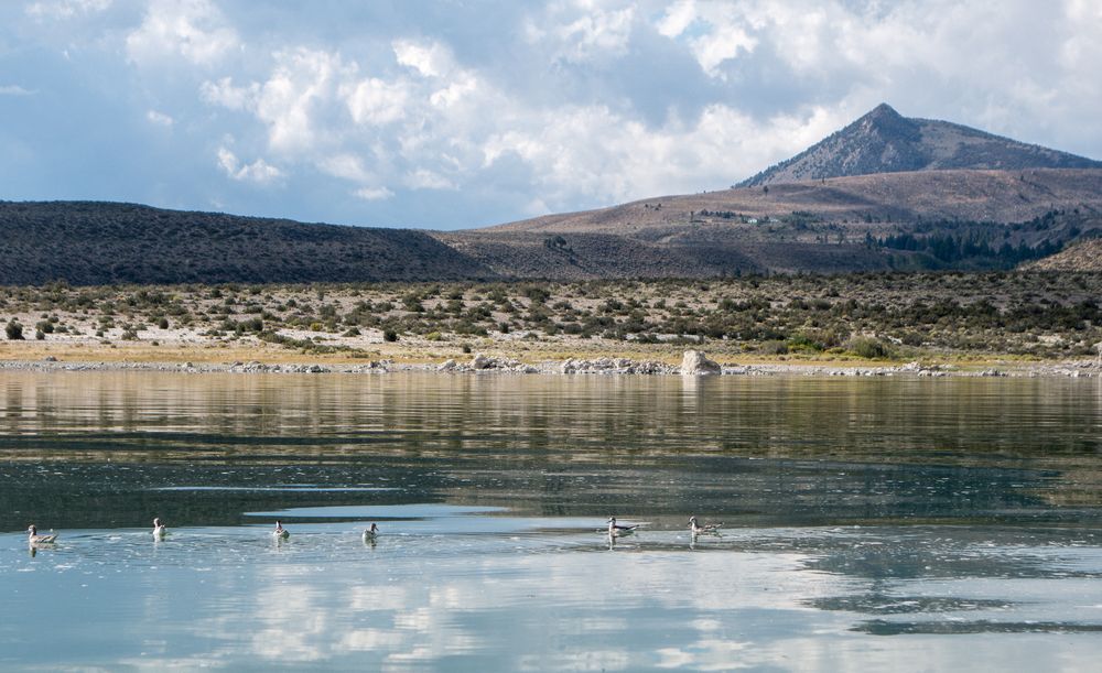 Aug. 12, 2014 - Kayaking on Mono Lake, California.