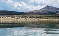 Aug. 12, 2014 - Kayaking on Mono Lake, California.