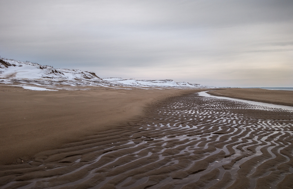 The first 40+ degree day since Jan. 19.<br />March 4, 2015 - Parker River National Wildlife Refuge, Plum Island, Massachusetts.