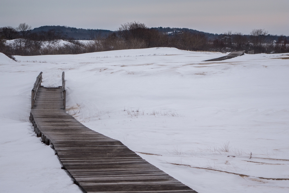 The first 40+ degree day since Jan. 19.<br />March 4, 2015 - Parker River National Wildlife Refuge, Plum Island, Massachusetts.