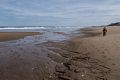 Joyce.<br />March 16, 2015 - Parker River National Wildlife Refuge, Plum Island, Massachusetts.