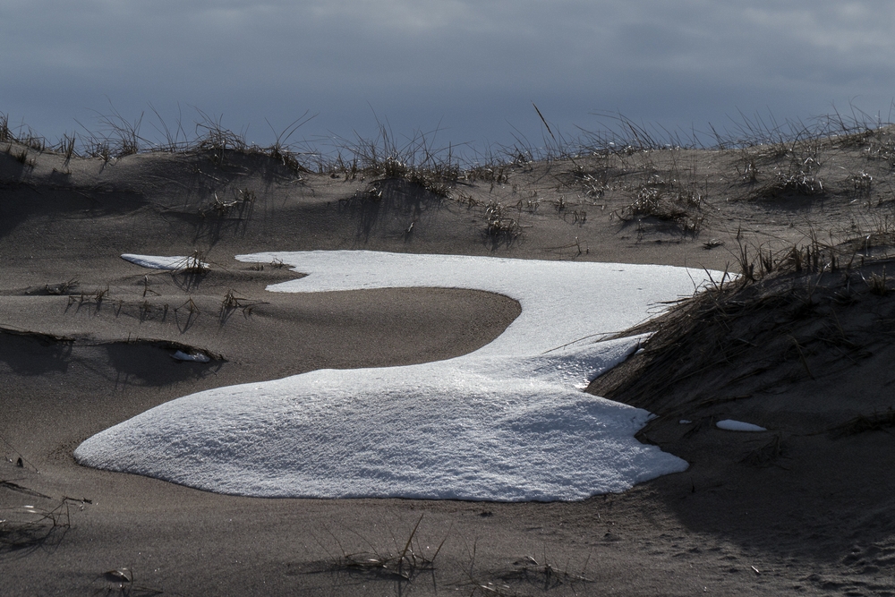 Walk south from boardwalk # 3.<br />March 16, 2015 - Parker River National Wildlife Refuge, Plum Island, Massachusetts.