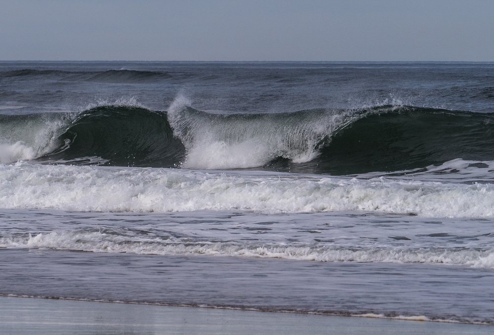 Walk south from boardwalk # 3.<br />March 16, 2015 - Parker River National Wildlife Refuge, Plum Island, Massachusetts.