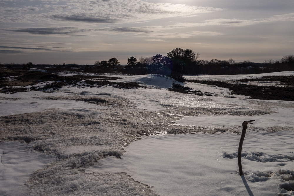 View from boardwalk # 3.<br />March 16, 2015 - Parker River National Wildlife Refuge, Plum Island, Massachusetts.