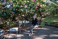 Joyce at breakfast at our lodging place.<br />March 25, 2015 - At Tina and Dave's in El Cerrito, California.