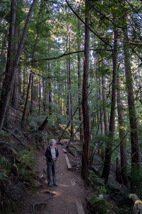 Joyce on Canopy View Trail.<br />March 25, 2015 - Muir Woods National Monument, Marin County, California