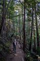 Joyce on Canopy View Trail.<br />March 25, 2015 - Muir Woods National Monument, Marin County, California
