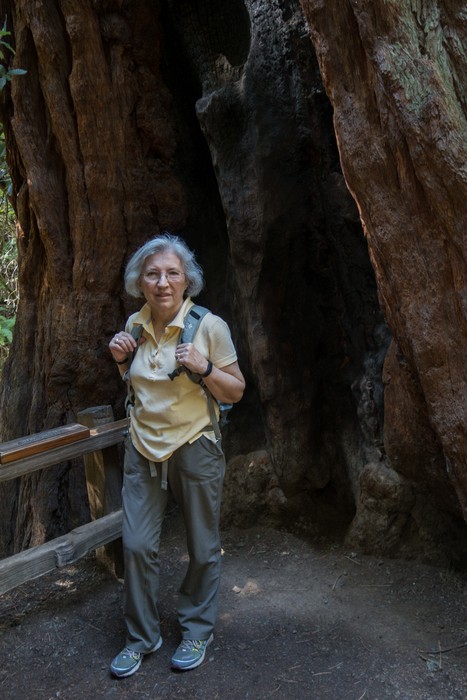 Joyce inside a redwood.<br />March 25, 2015 - Muir Woods National Monument, Marin County, California