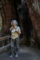 Joyce inside a redwood.<br />March 25, 2015 - Muir Woods National Monument, Marin County, California