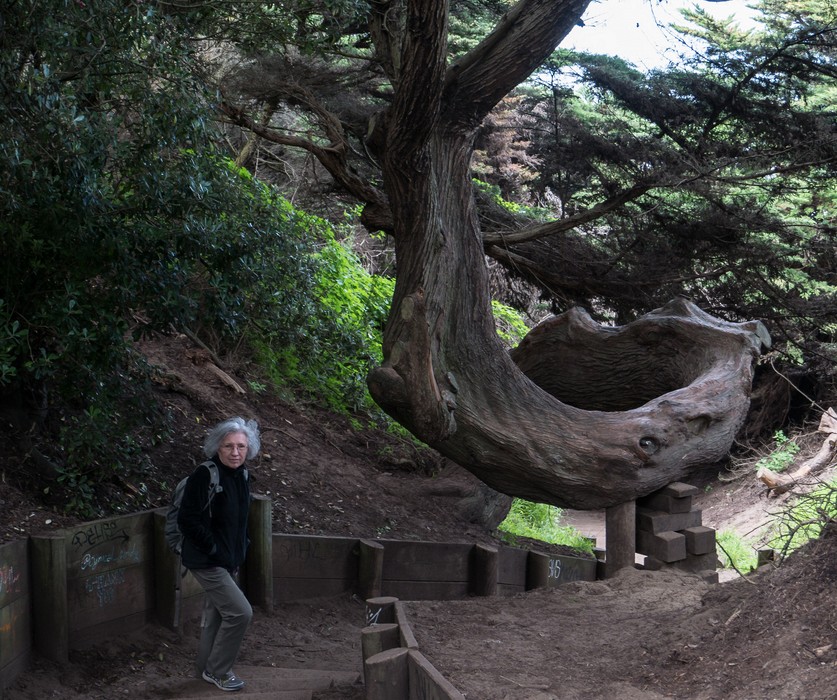 Joyce heading down to the Labyrinth.<br />March 27. 2015 - Lands End, San Francisco, California.