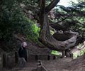 Joyce heading down to the Labyrinth.<br />March 27. 2015 - Lands End, San Francisco, California.
