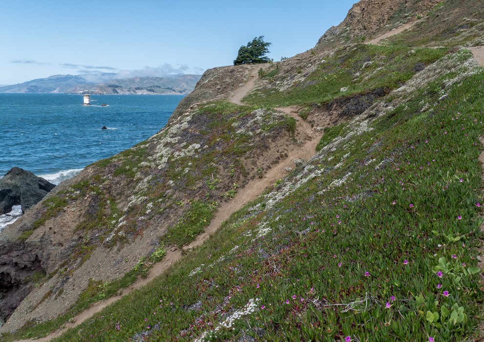 Tail off the Coastal Trai, leading to the Labyrinth.<br />March 27. 2015 - Lands End, San Francisco, California.