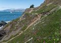 Tail off the Coastal Trai, leading to the Labyrinth.<br />March 27. 2015 - Lands End, San Francisco, California.