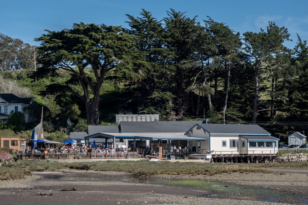 Great raw oyster here.<br />Hog Island Oyster Farm on Tomales Bay.<br />March 28, 2015 - Marshall, California.