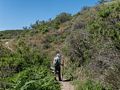 Joyce on Wildcat Peak Trail.<br />March 26, 2015 - Tilden Park, Contra Costa County, California.