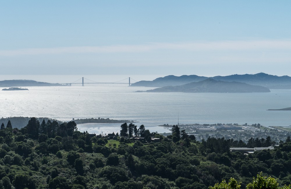 View of San Francisco Bay and Golden Gate Bridge from Wildcat Peak Trail.<br />March 26, 2015 - Tilden Park, Contra Costa County, California.