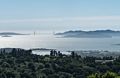 View of San Francisco Bay and Golden Gate Bridge from Wildcat Peak Trail.<br />March 26, 2015 - Tilden Park, Contra Costa County, California.