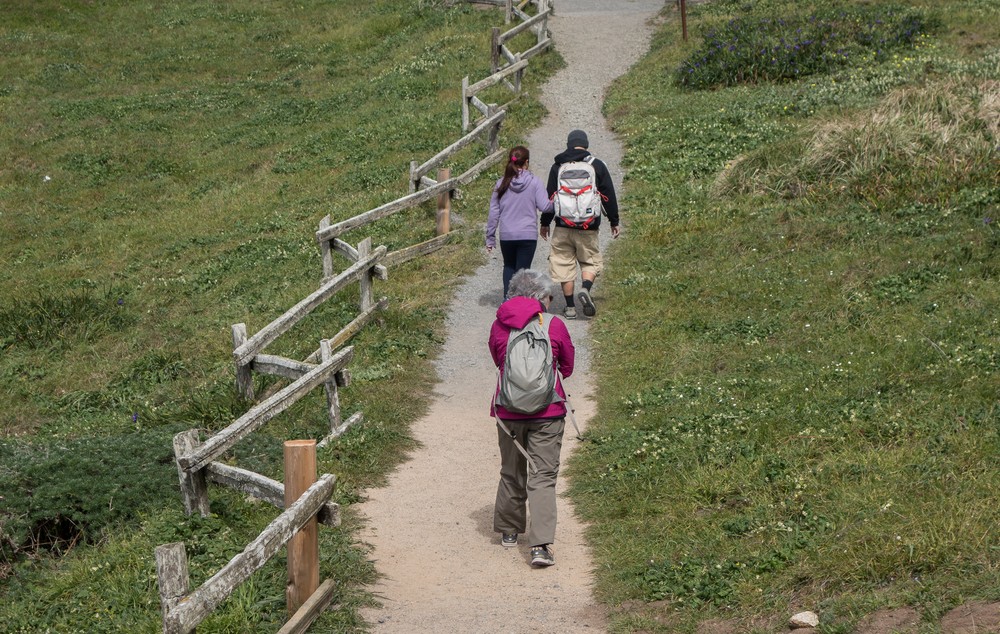 Joyce heading back to the Sea Lion Cove overlook parking area.<br />March 30, 2015 - Lighthouse area of Point Reyes, California.