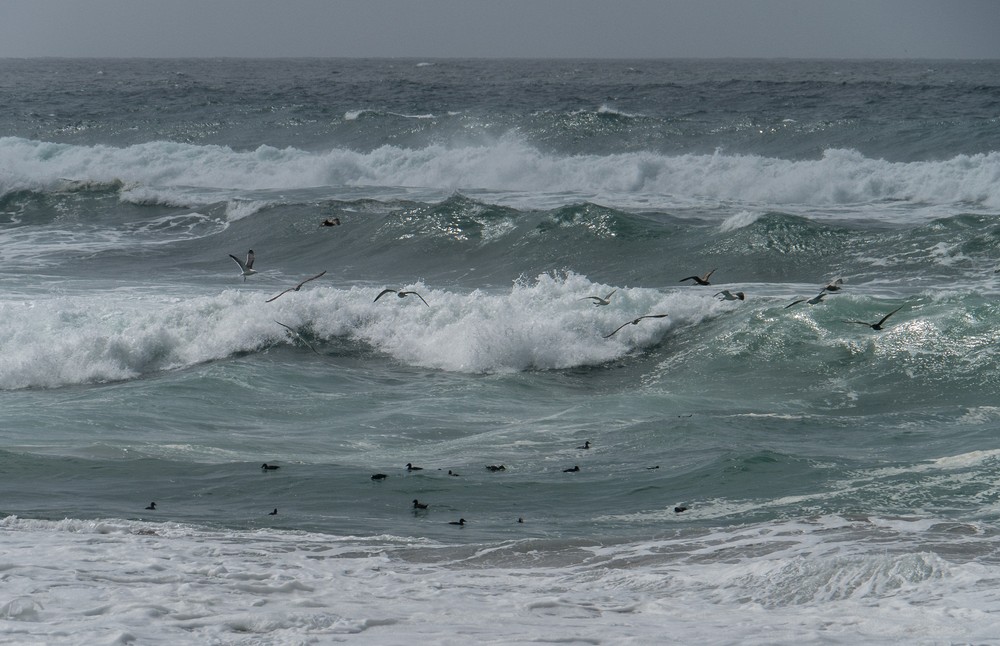 March 30, 2015 - South Beach area of Point Reyes, California.