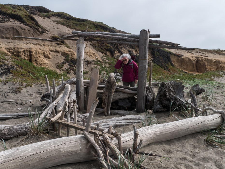 Joyce framed by arranged driftwood.<br />March 30, 2015 - South Beach area of Point Reyes, California.