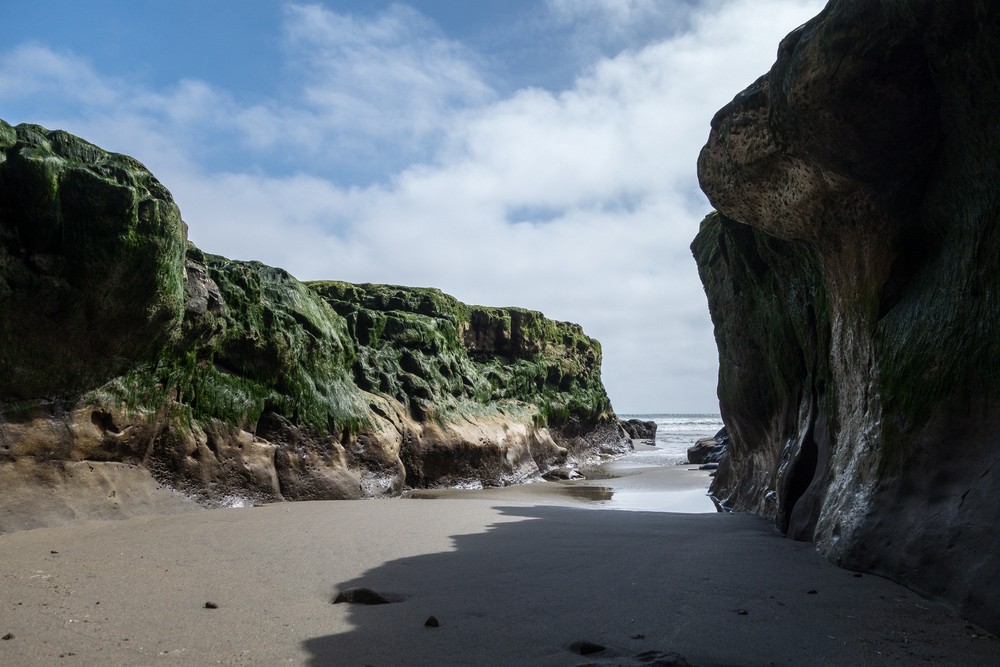 2-3 ft high cliffs.<br />March 30, 2015 - Drakes Beach area of Point Reyes, California.