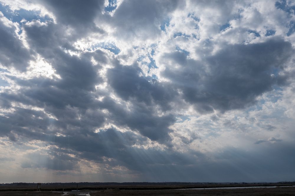 View from boat ramp across from parking lot 1.<br />April 18, 2015 - Parker River National Wildlife Refuge, Plum Island, Massachusetts.