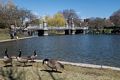 Bridge over the Lagoon.<br />April 19, 2015 - Public Garden, Boston, Massachusetts.