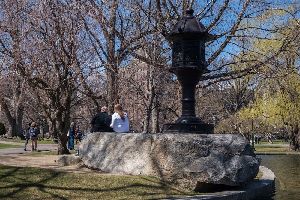 View from swan boat on the Lagoon.<br />April 19, 2015 - Public Garden, Boston, Massachusetts.