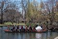 Swan boat on the Lagoon.<br />April 19, 2015 - Public Garden, Boston, Massachusetts.
