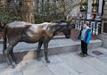 Matthew in republican footsteps opposing a democratic donkey at the Old City Hall.<br />April 19, 2015 - Boston, Massachusetts.