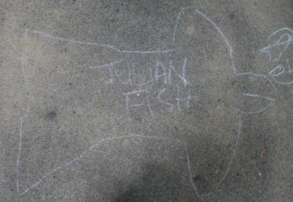 Julian fish.<br />June 14, 2015 - At home in Merrimac, Massachusetts.