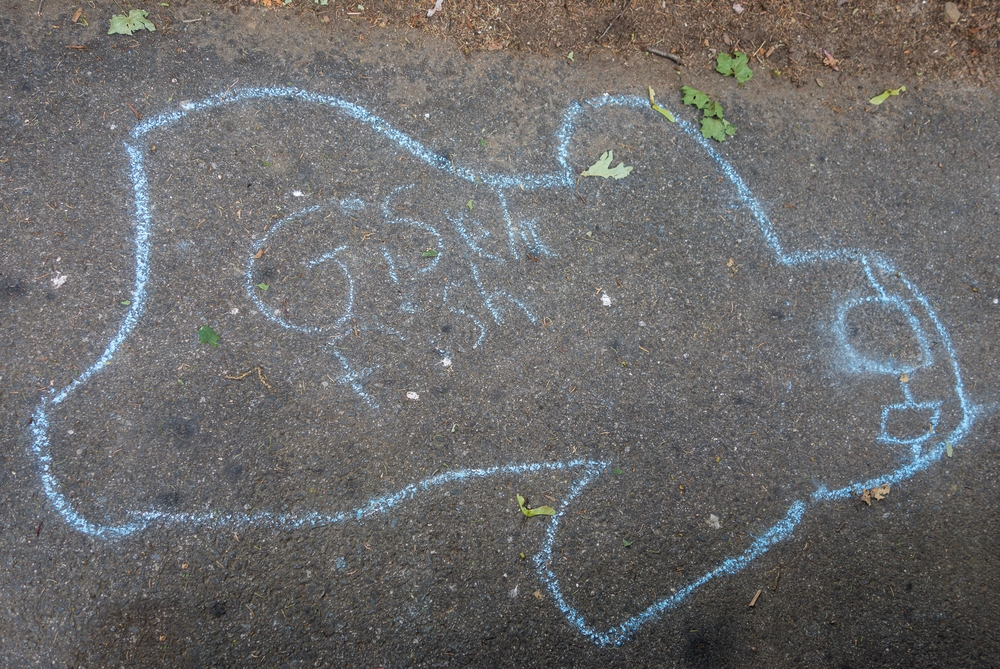 Gisela fish.<br />June 14, 2015 - At home in Merrimac, Massachusetts.