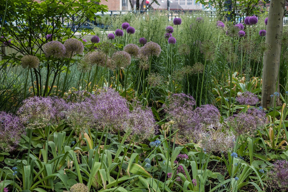 Some of the greenery along the Greenway.<br />June 16, 2015 - Along the Greenway in Boston, Massachusetts.