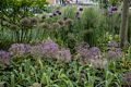 Some of the greenery along the Greenway.<br />June 16, 2015 - Along the Greenway in Boston, Massachusetts.