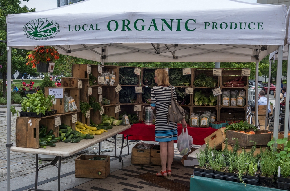 Farmers' market at Dewey Square (across from South Station).<br />June 16, 2015 - Along the Greenway in Boston, Massachusetts.