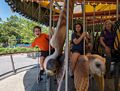 Matthew, Miranda, and Joyce on the carousel.<br />July 3, 2015 - Along the Greenway in Boston, Massachusetts.