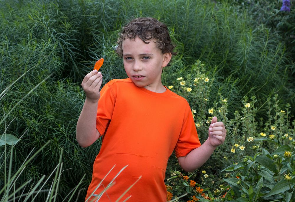 Matthew.<br />July 3, 2015 - Along the Greenway in Boston, Massachusetts.