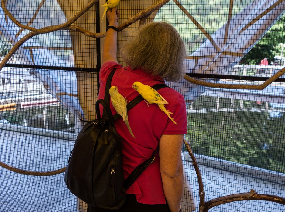 Joyce has company at the aviary.<br />July 13, 2015 - Aquarium in Mystic, Connecticut.