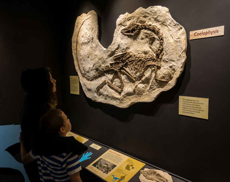 Miranda and Matthew at the dinosaur to bird exhibit.<br />July 15, 2015 - Vermont Institute of Natural Science, Quechee, Vermont.